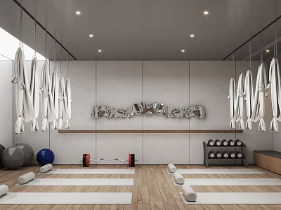 Modern Fitness Studio Interior With Suspended Rings Yoga Mats And Training Equipment 3d model