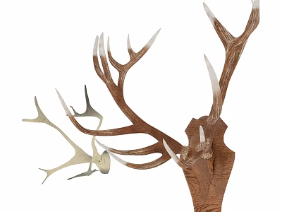 Decorative Deer Antler Animal Wall Decor For Rustic Home Living Room Decoration 3d model