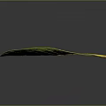 Green Plant Leaf With Yellow Veins On Dark Background And Shiny Surface