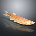 Shiny Orange And White Fish With Detailed Scales And Reflection On Dark Background