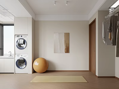 Modern Home Balcony Design With Washing Machine Yoga Ball Mat Hanging Clothes And Decorative Painting 3d model