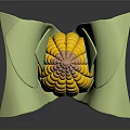 Fresh Shiny Corn With Green Husks And Yellow Kernels On Dark Background