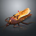 Detailed 3D Rendered Insect With Brown Body Transparent Wings And Red Dot On Gray Background
