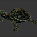 Colorful Turtle Sculpture With Vibrant Striped Shell Red Accent Head And Detailed Limb Design