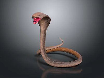 snake cobra venomous snake python reptile cold-blooded animal reptile 3d model