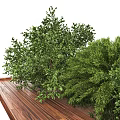 Lush Green Tree Planter Featuring Tall Tree And Lush Bushes In Wooden Base