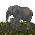 Adult And Baby Reptile In Natural Habitat With Grassy Area And Cracked Ground