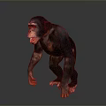 Realistic 3D Render of Standing Chimpanzee with Open Mouth on Gray Background