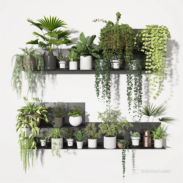 Various Potted Plants On Wall Mounted Shelves With Hanging Green Foliage And Different Pots 3d model 