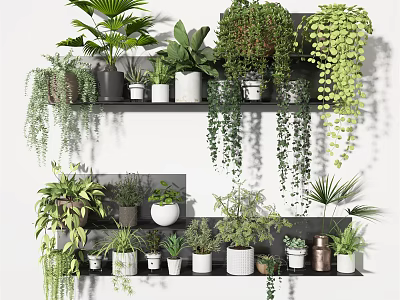 Various Potted Plants On Wall Mounted Shelves With Hanging Green Foliage And Different Pots 3d model