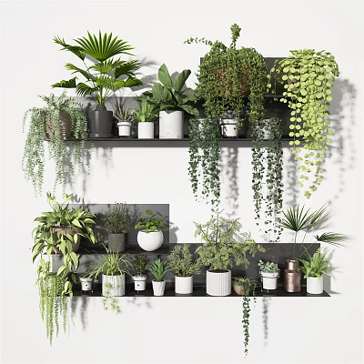 Various Potted Plants On Wall Mounted Shelves With Hanging Green Foliage And Different Pots 3d model