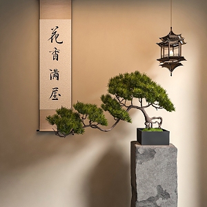 Ancient Pine Bonsai 3d model