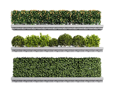 Layered Arrangement of Trimmed Hedge Shrub Varieties for Landscaping Design 3d model