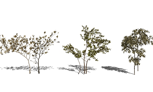 Modern tree dead branches potted plant 3d model