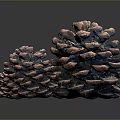 Brown Pine Cones Decorative Set For Home Decor With Reflection Background