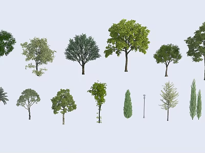 Various Types of Arbor Trees with Different Foliage Shapes for Landscape Design 3d model