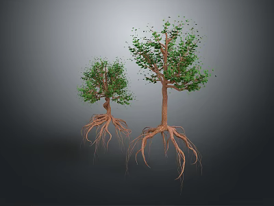 Two Trees With Visible Roots And Green Leaves On Gray Background 3d model