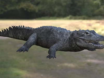 Crocodile Reptile In Natural Grassland Habitat With Open Mouth And Sharp Scales 3d model