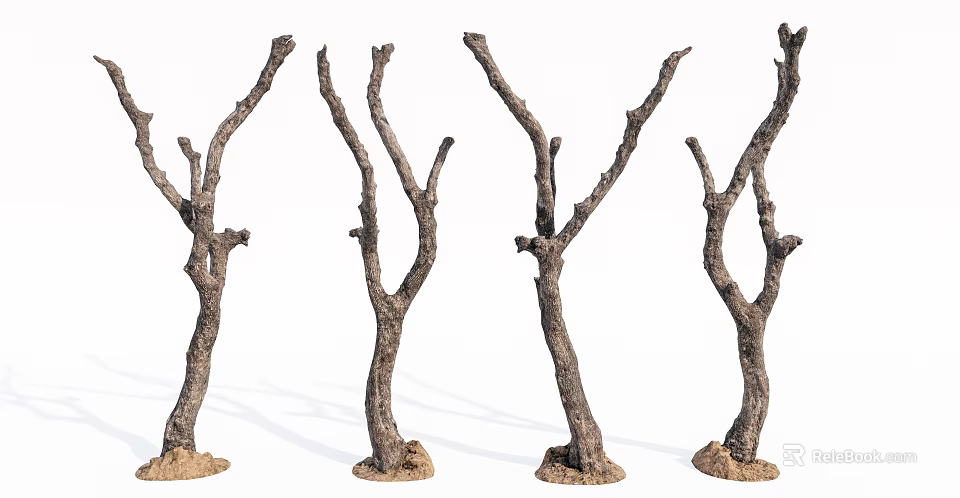 Dry Trees With Bare Branches And Textured Trunks On Soil Base 3d model 