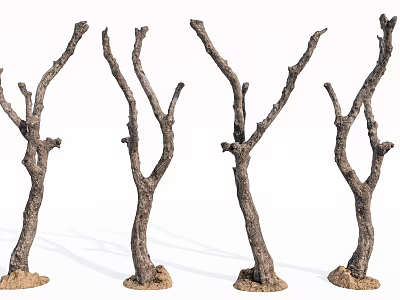 Dry Trees With Bare Branches And Textured Trunks On Soil Base 3d model