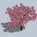 Beautiful Pink Blossom Tree with Red Tassel Decorations Hanging on Branches