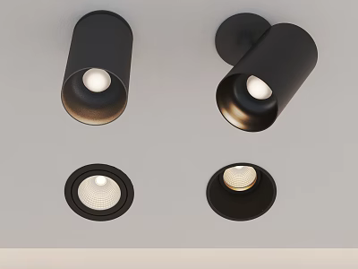 Modern Black Downlights and Spotlights Ceiling Mounted Lighting Fixtures with Different Styles 3d model