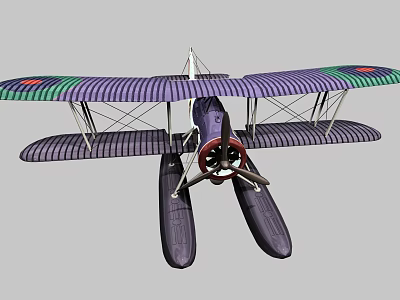 Vintage Biplane Passenger Plane With Purple And Green Striped Wings And Floats 3d model