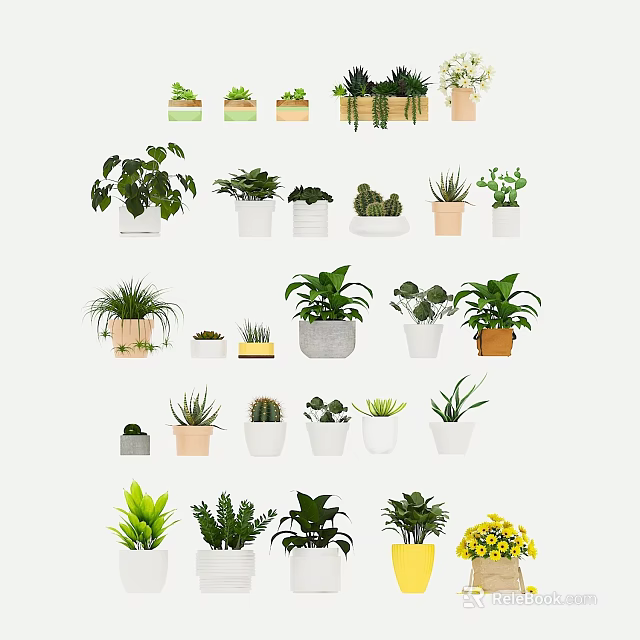 Various Indoor Bonsai And Potted Plants With Different Ceramic Planters And Green Foliage 3d model 