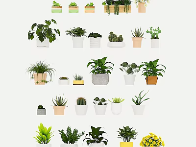 Various Indoor Bonsai And Potted Plants With Different Ceramic Planters And Green Foliage 3d model