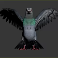 Gray Pigeon Displaying Spread Wings Green Neck Red Eyes And Red Feet