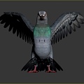 Modern carrier pigeon food pigeon play pigeon racing pigeon racing 3d model