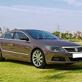Brown Volkswagen Sedan Parked On Green Grass With Sunny City Background