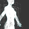 Futuristic White And Black Humanoid Robot With Detailed Biomechanical Body Structure