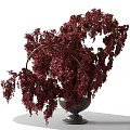 Decorative Hanging Ornament Set With Lush Red Foliage In Black Pot For Home Decor
