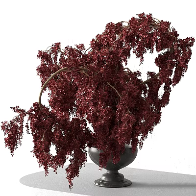 Decorative Hanging Ornament Set With Lush Red Foliage In Black Pot For Home Decor 3d model