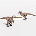 Two Realistic Feathered Dinosaur Models With Dynamic Poses On White Background 3d model