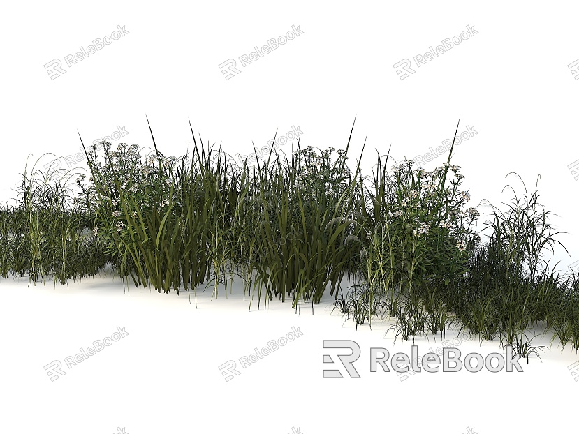 Aquatic Plant Combination Grass Wild Grass Aloe Wild Flower Miscanthus Natural Plant model