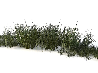 Aquatic Plant Combination Grass Wild Grass Aloe Wild Flower Miscanthus Natural Plant 3d model