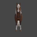 Brown Horse With White Mane And Tail Standing In Natural Outdoor Setting