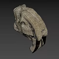 Detailed Animal Skull Anatomical Structure Showing Bone Features And Teeth