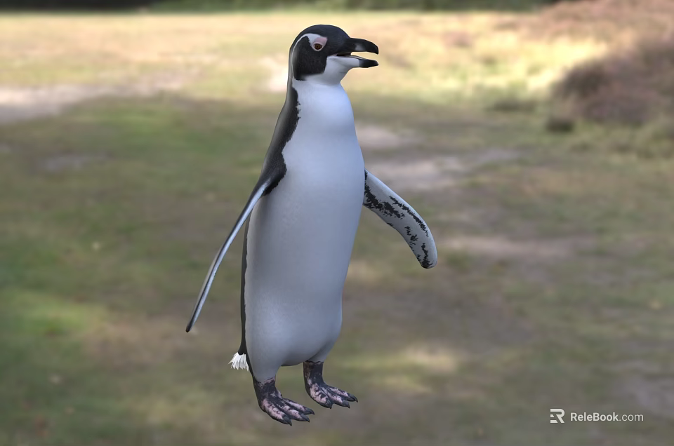 Flying Animal Penguin Standing On Green Grass In Natural Outdoor Setting 3d model 
