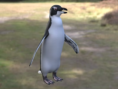 Flying Animal Penguin Standing On Green Grass In Natural Outdoor Setting 3d model