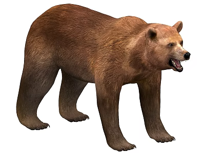 Grizzly bear bear bear bear 3d model Grizzly bear bear bear bear 3d model