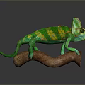 Vibrant Green and Yellow Chameleon Perched on Brown Branch with Crest