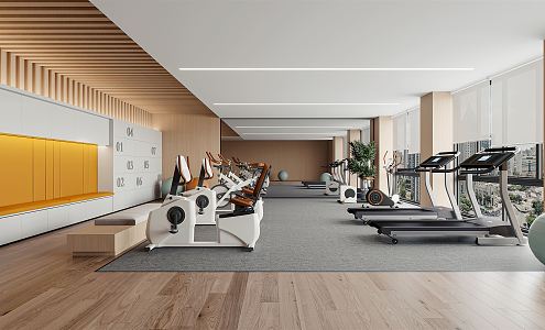 Modern Gym 3d model