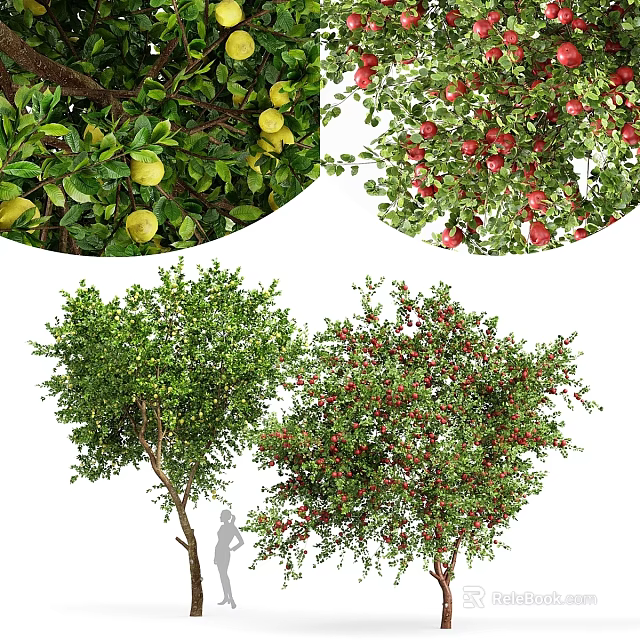 Ornamental Fruit Tree Decorative Set With Lemon Apple Pomegranate And Green Foliage 3d model 