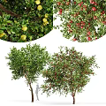 Ornamental Fruit Tree Decorative Set With Lemon Apple Pomegranate And Green Foliage