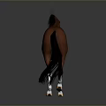 Brown Horse With Black Mane Tail And White Hooves Standing On Gray Reflective Surface
