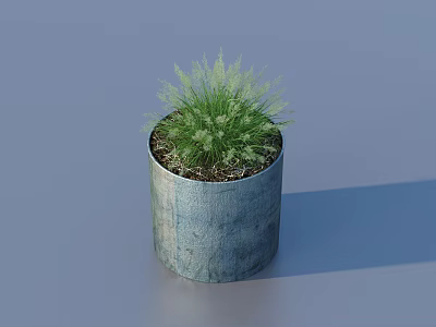 Bonsai Potted Plant In Metal Container With Green Grass Like Foliage Against Light Blue Background 3d model