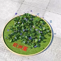 European Violet Flowers with Green Leaves and Purple Blooms in Circular Stone Pavement Bed